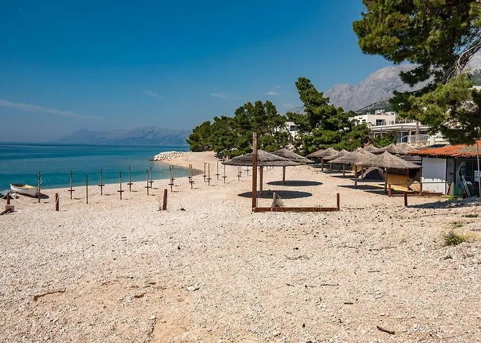 Barbara 마카르스카