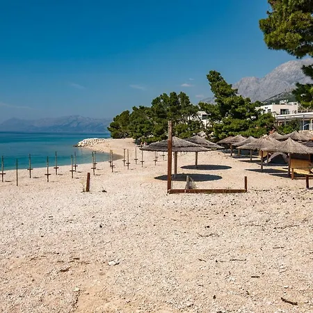 Barbara ماكارسكا